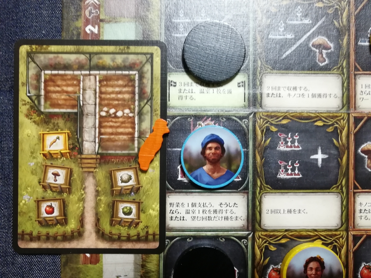 f:id:sinden:20200123172201j:plain