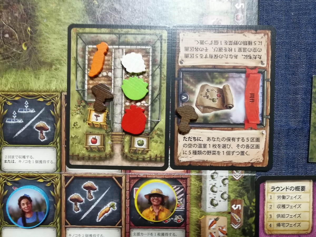 f:id:sinden:20200123172320j:plain