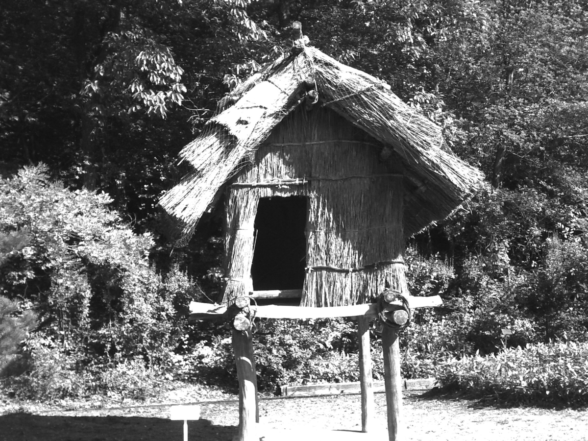 f:id:sinden:20201027172117j:plain f:id:sinden:20201027172117j:plain