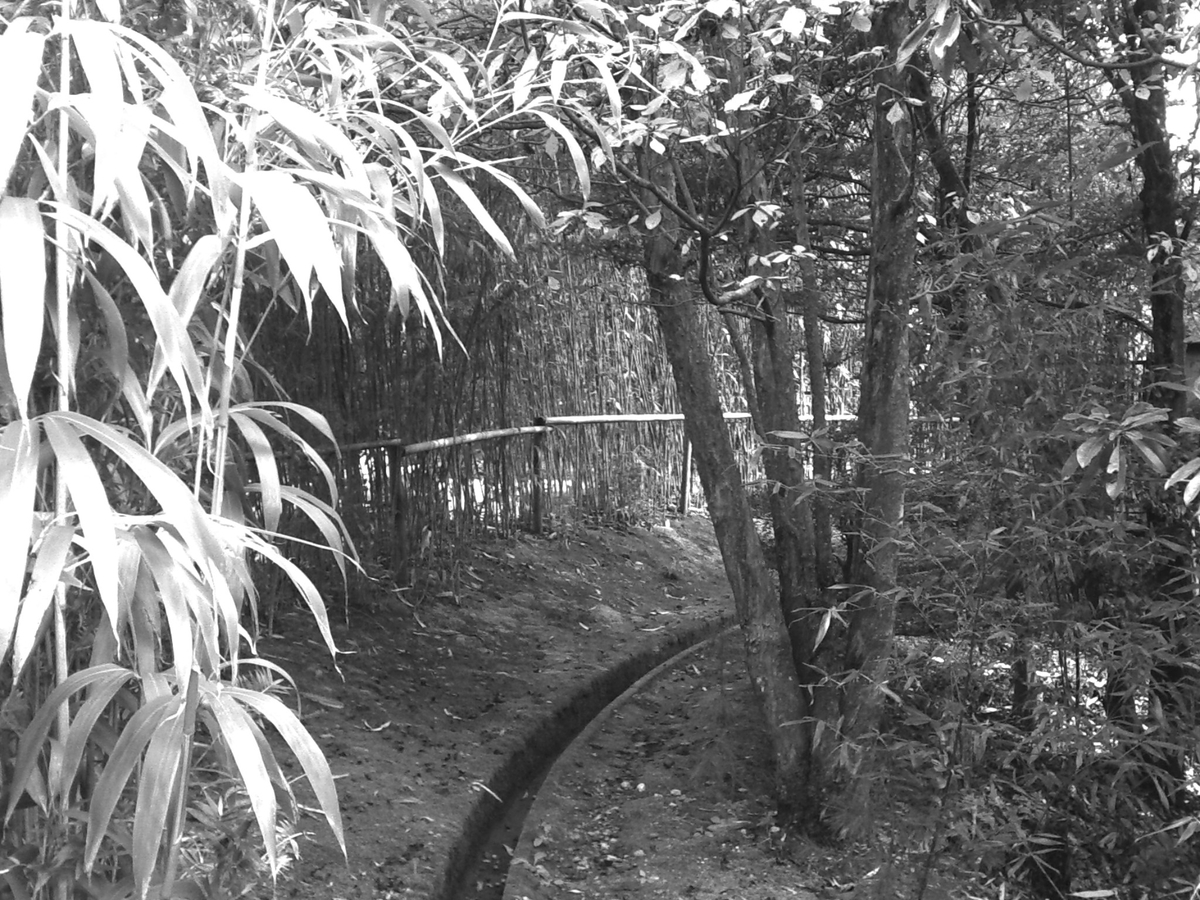 f:id:sinden:20201027172217j:plain f:id:sinden:20201027172217j:plain