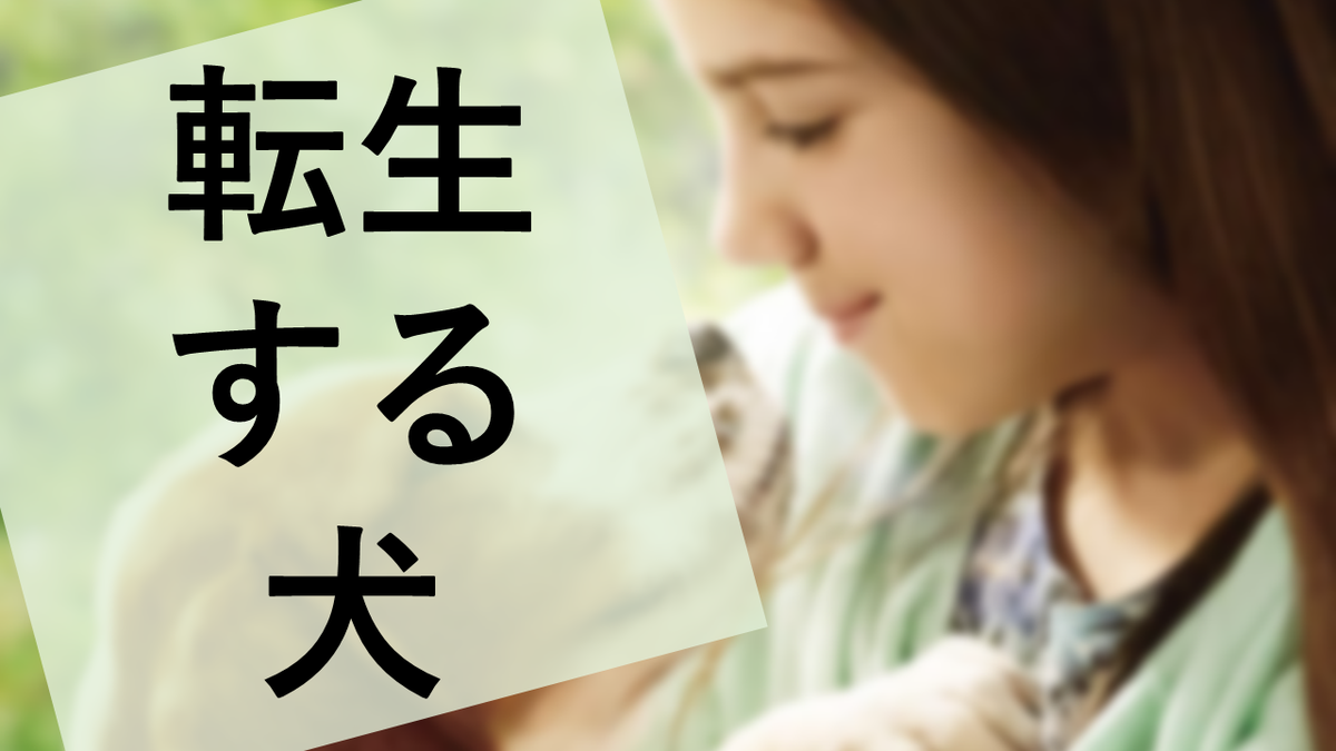 f:id:sinden:20201203205750p:plain