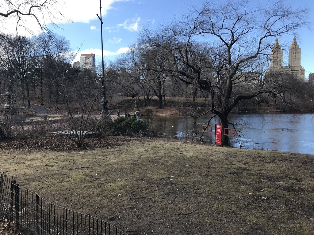 f:id:singarden:20190225135502j:plain f:id:singarden:20190225135502j:plain