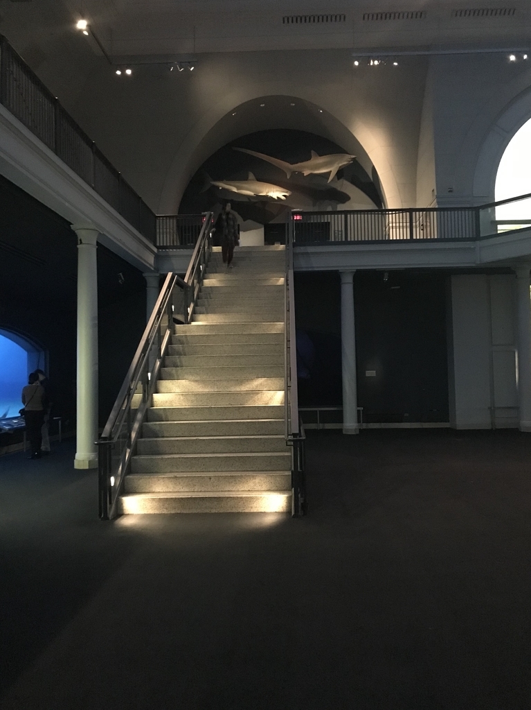 f:id:singarden:20190225140030j:plain f:id:singarden:20190225140030j:plain