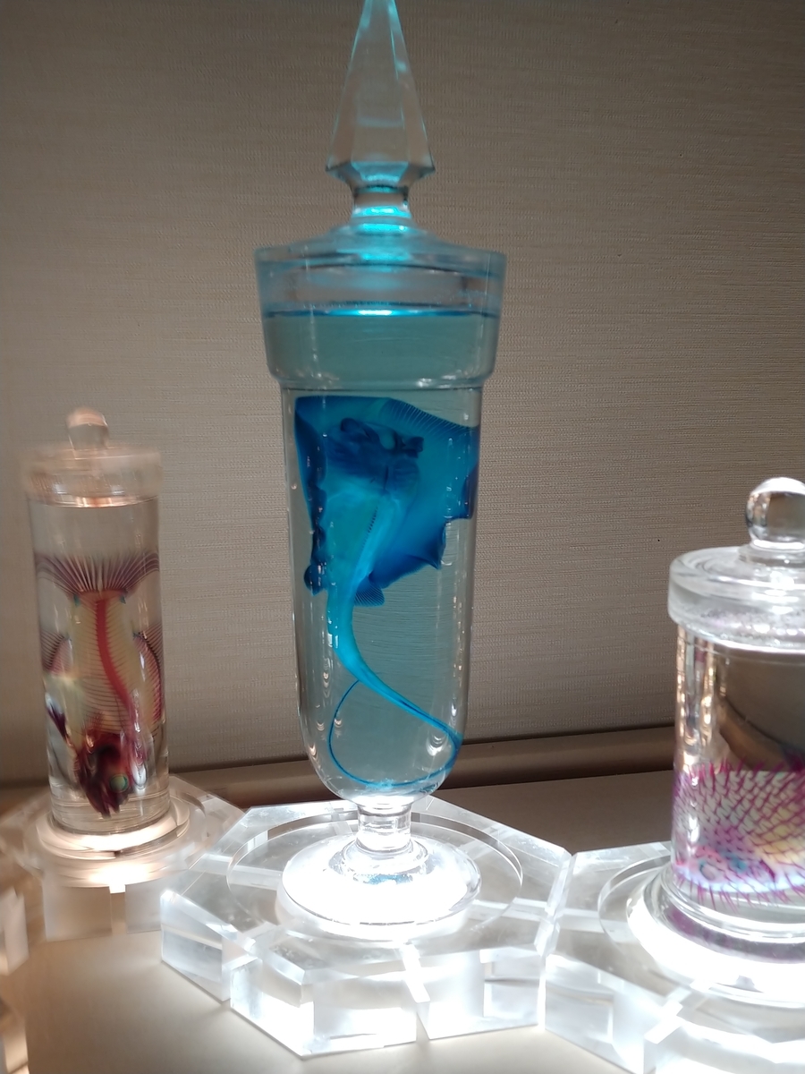 f:id:singark071781:20190801235832j:plain f:id:singark071781:20190801235832j:plain