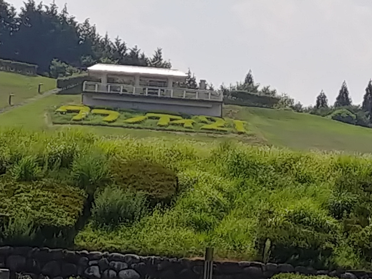 f:id:singark071781:20190810231119j:plain