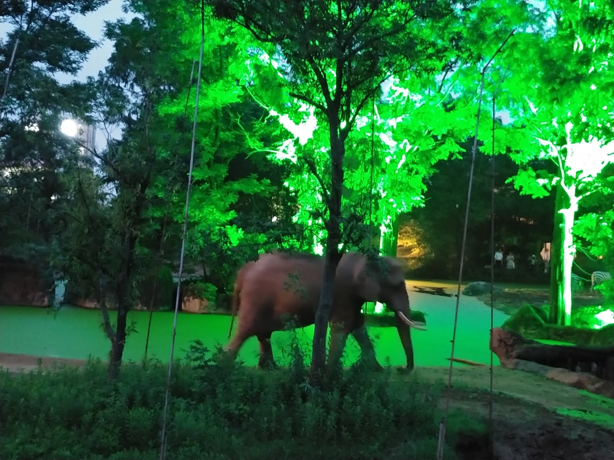 f:id:singark071781:20190823072030j:plain f:id:singark071781:20190823072030j:plain