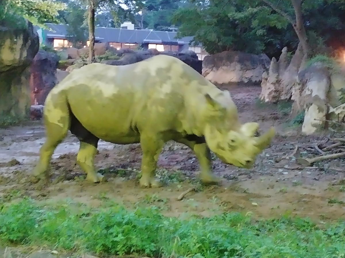 f:id:singark071781:20190823072058j:plain f:id:singark071781:20190823072058j:plain
