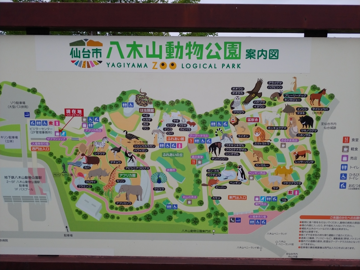 f:id:singark071781:20190823072534j:plain f:id:singark071781:20190823072534j:plain