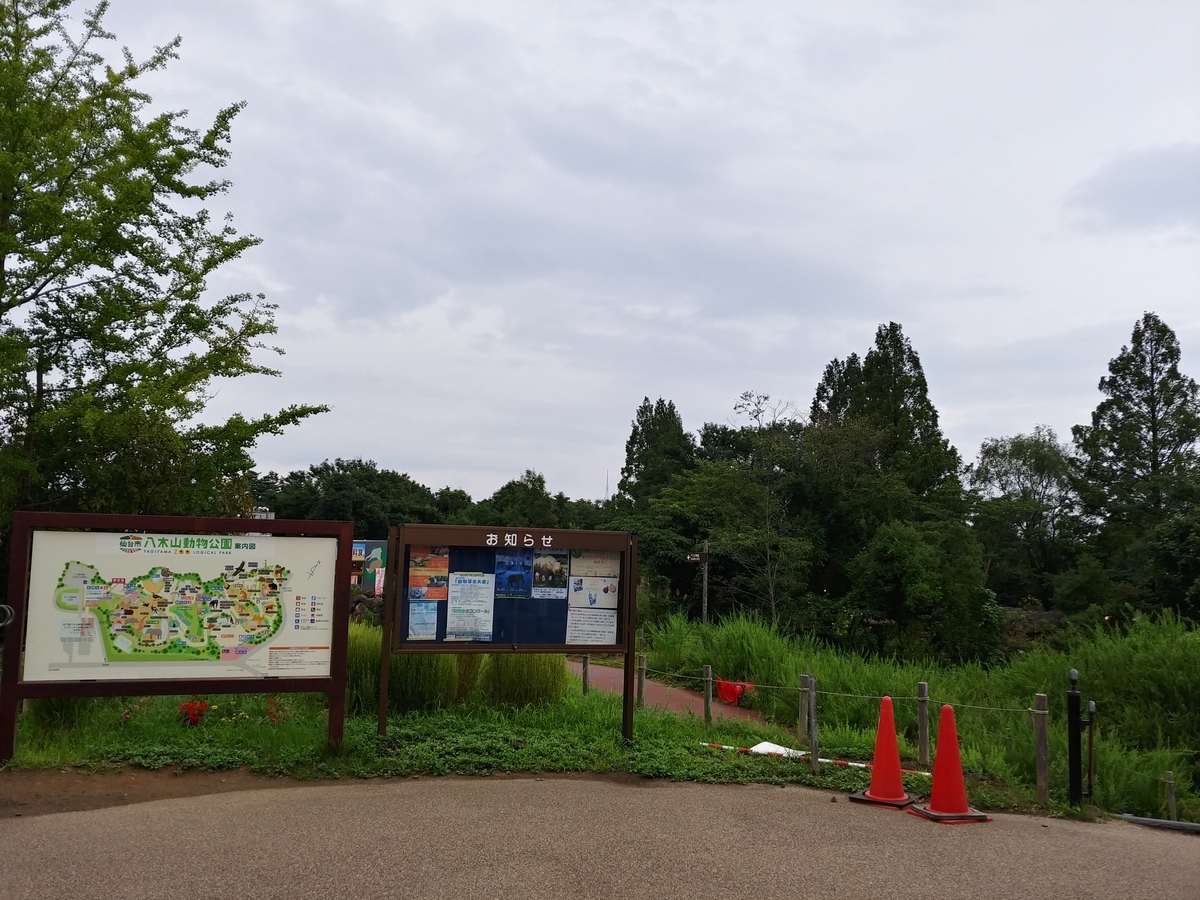 f:id:singark071781:20190823072545j:plain f:id:singark071781:20190823072545j:plain