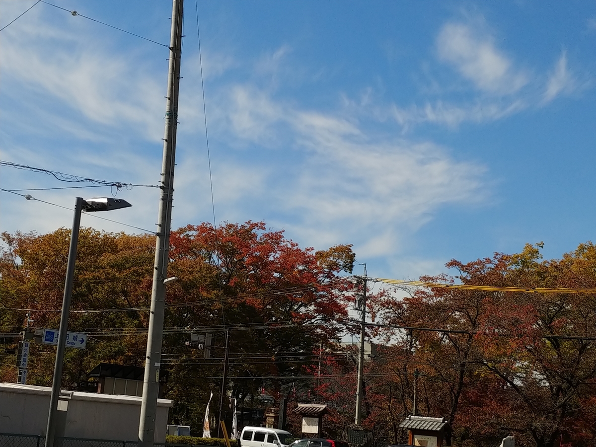 f:id:singark071781:20200117235133j:plain f:id:singark071781:20200117235133j:plain