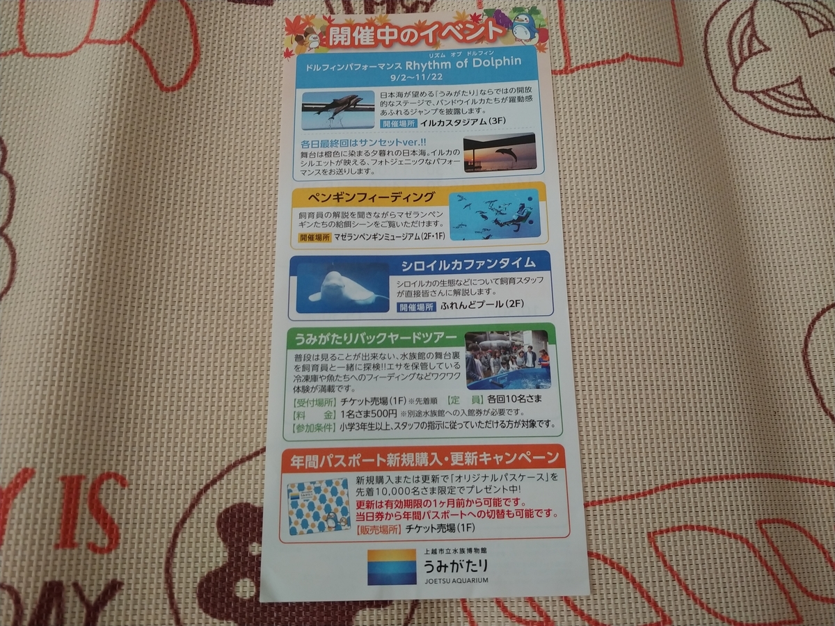 セブンイレブンアプリ全国制覇したい の旅 新潟編２ うみがたり 上越市立水族博物館 写真編 旅と映画と音楽 ふつ映 Singark07 ブログ