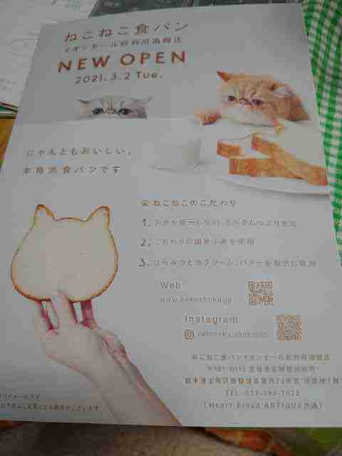 f:id:singark071781:20210612220555j:plain