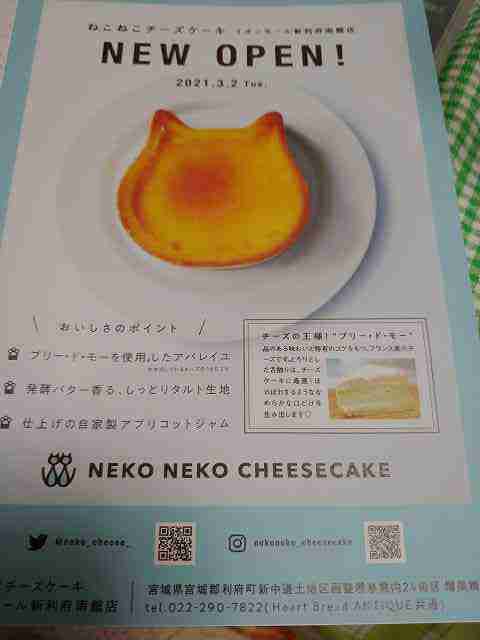 f:id:singark071781:20210612220557j:plain