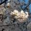 f:id:singark071781:20210712073023p:plain