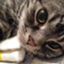 f:id:singark071781:20211112090929p:plain