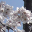 f:id:singark071781:20211127190938p:plain