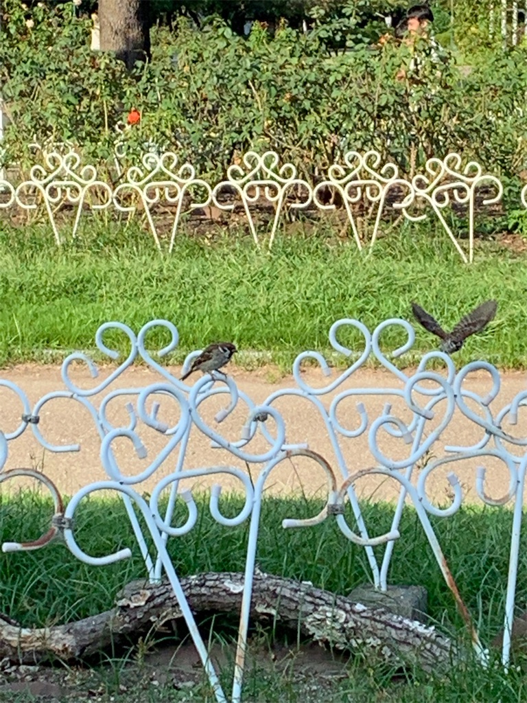 f:id:singhealthy:20190917182121j:image f:id:singhealthy:20190917182121j:image