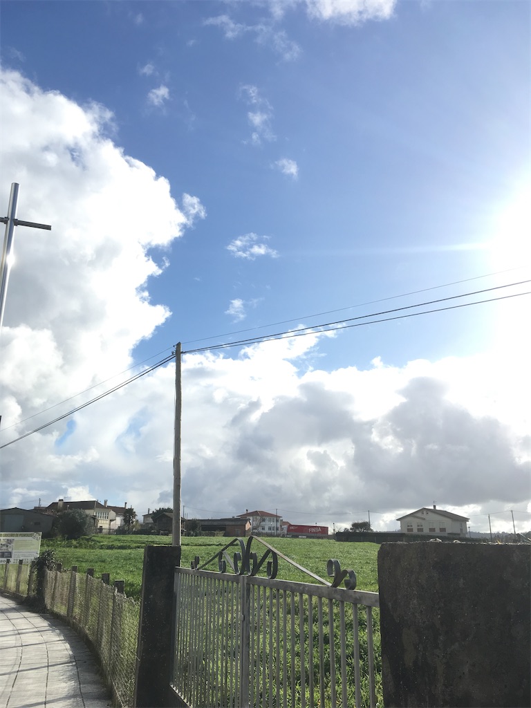 f:id:singhealthy:20201028195756j:image