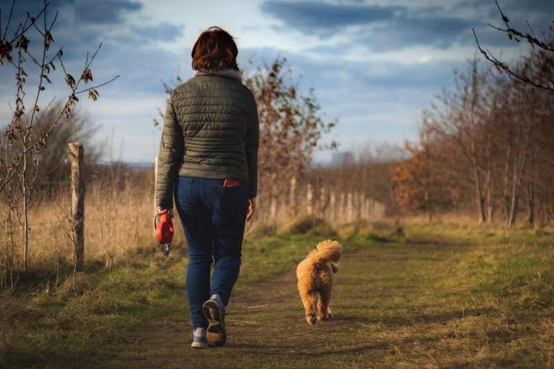 犬の夜泣きが飼い主へ与える影響