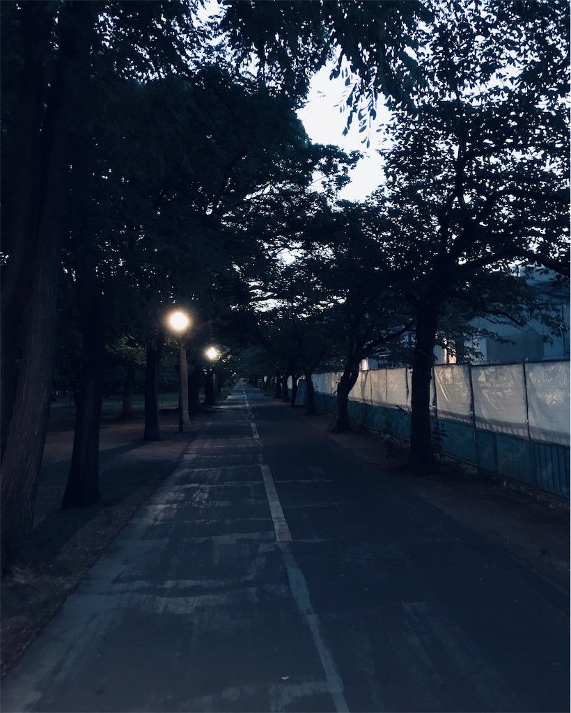 f:id:single-father-ajitama:20190810070521j:image