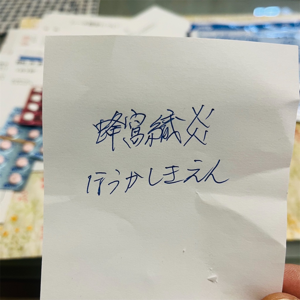 f:id:single-father-ajitama:20241228175103j:image