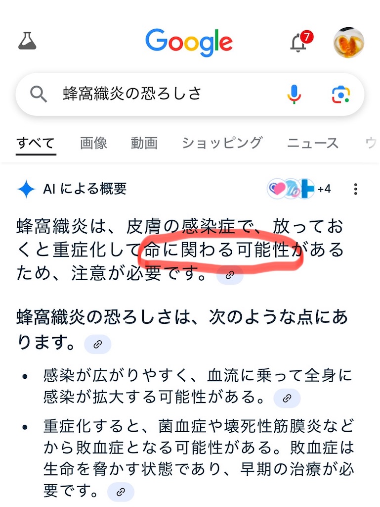 f:id:single-father-ajitama:20241228181327j:image