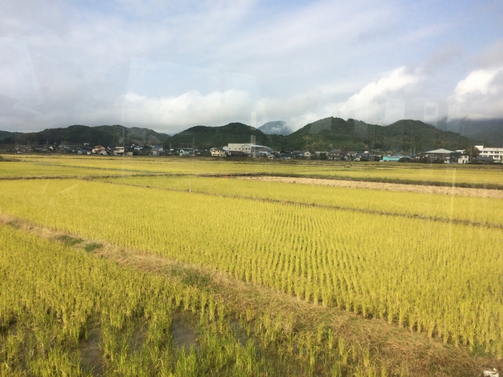 f:id:single42:20170813172834j:plain f:id:single42:20170813172834j:plain