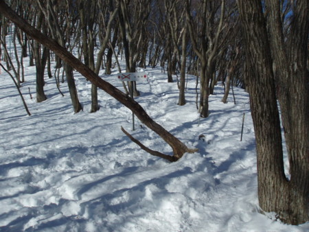 20140222192410