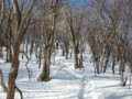 20140222192414