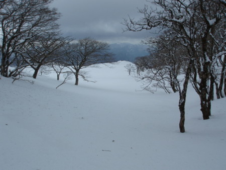 20140222192953