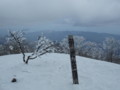 20140222192954
