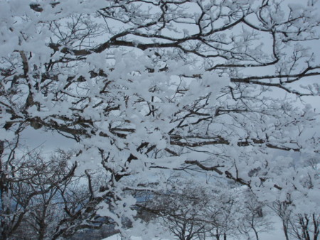 20140222192956