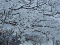 20140222192956