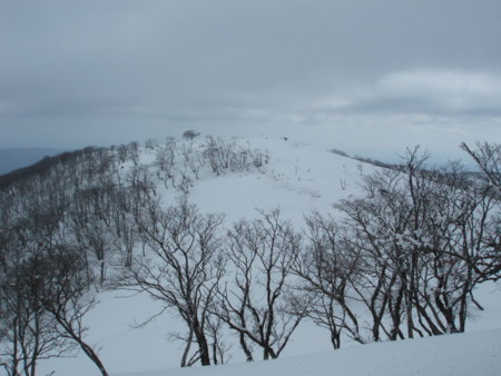 20140222192957