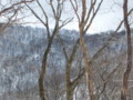 20140222192958