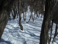 20140222193344