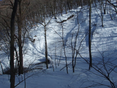 20140222193346