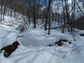 20140222193349