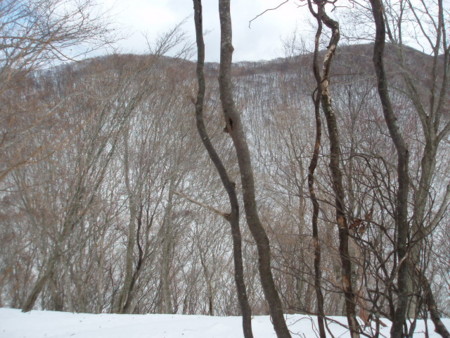 20140222193351