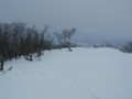 20140222193352