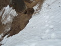 20140329215218