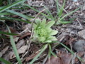 20140329215246