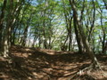 20140517161649