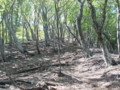 20140517161656