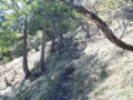 20140517161659