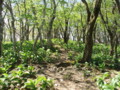 20140517161700