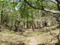 20140517161713