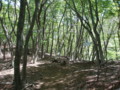20140517161718