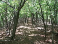 20140517161719