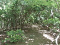 20140517161720